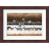 Maresa Pryor / Danita Delimont - Sandhill Cranes Flying, New Mexico (R1004568-AEAEAGLFGM)