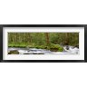 Richard & Susan Day / DanitaDelimont - Panoramic Of Straight Fork Creek In Spring, North Carolina (R1004595-AEAEAGOFDM)