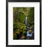 Gary Luhm / Danita Delimont - Mossy Grotto Falls, Oregon (R1004700-AEAEAGOFDM)