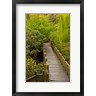 Michel Hersen / Danita Delimont - Bridge At Crystal Springs Rhododendron Garden, Portland, Oregon (R1004715-AEAEAGOFDM)