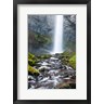 Michel Hersen / Danita Delimont - Latourell Falls And Creek, Columbia Gorge, Oregon (R1004720-AEAEAGOFDM)