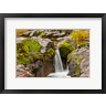 Michel Hersen / Danita Delimont - Autumn At Little Falls, Umpqua National Forest, Oregon (R1004725-AEAEAGOFDM)