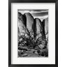 Judith Zimmerman / DanitaDelimont - Gnarled Tree Against Stone Fins, Arches National Park, Utah (BW) (R1004947-AEAEAGOFDM)