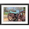 Jim Engelbrecht / Danita Delimont - Cannon On Battlefield, Yorktown, Virginia (R1005003-AEAEAGOFDM)