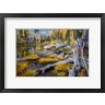 Gary Luhm / Danita Delimont - Horseshoe Lake Landscape In The Alpine Lakes Wilderness (R1005175-AEAEAGOFDM)