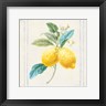 Danhui Nai - Floursack Lemons III Sq Navy (R1006630-AEAEAGOEDM)