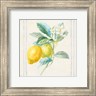 Danhui Nai - Floursack Lemons II Sq Navy (R1006631-AEAEAGMEEY)
