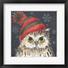 Anita Phillips - Christmas Owl (R1010259-AEAEAGOFDM)