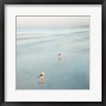 John Juracek - Two Birds on Beach (R1014594-AEAEAGOFDM)