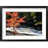 David W. Pollard - Autumn, Lower Rosseau Falls (R1016304-AEAEAGOFDM)