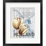 Alicia Soave - Holland Tulips (R1016753-AEAEAGOFDM)