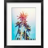 Tai Prints - Palms in the Sun (R1017095-AEAEAGOFDM)