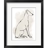 Grace Popp - Greyhound Sketch I (R1018686-AEAEAGOFDM)