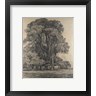 John Constable - Elm trees in Old Hall Park (R1018920-AEAEAGOFDM)