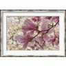 Adam Jones / Danita Delimont - Yulan Magnolia Blossoms, Louisville, Kentucky (R1024131-AEAEAGKFGE)