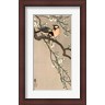 Ohara Koson - Songbirds on Cherry Branch, 1900-1910 (R1024913-AEAEAGLFGM)