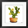 Bannarot - Cactus Flowers III (R1025461-AEAEAGOEDM)