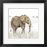 Tara Reed - Serengeti Elephant Square (R1025563-AEAEAGOEDM)