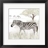 Tara Reed - Serengeti Zebra Square (R1025566-AEAEAGOEDM)