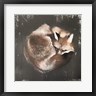 Suzi Redman - Sleeping Fox No. 11 (R1029676-AEAEAGOFDM)
