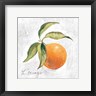 Silvia Vassileva - L Orange on White (R1030154-AEAEAGOFDM)