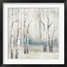 Michael Marcon - Watercolor December Birch I (R1031445-AEAEAGOFDM)