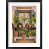 Laura Denardo - Italian Window Flowers III (R1033878-AEAEAGOFDM)