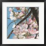 Sandra Iafrate - Cherry Blossoms II (R1034782-AEAEAGOFDM)