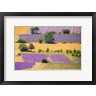 Jaynes Gallery / Danita Delimont - France, Provence, Sault Plateau Overview Of Lavender Crop Patterns And Wheat Fields (R1035381-AEAEAGOFDM)