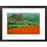 Jaynes Gallery / Danita Delimont - Europe, Italy, Tuscany The Belvedere Villa Landmark And Farmland (R1035404-AEAEAGOFDM)