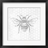 Kyra Brown - Grey Bee (R1036259-AEAEAGOFDM)