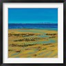 Sandra Francis - Coastal Colour Strip I (R1036453-AEAEAGOFDM)
