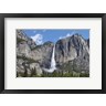 Panoramic Images - View Of Yosemite Falls In Spring, Yosemite National Park, California (R1039155-AEAEAGOFDM)