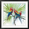 Arnie Fisk - Parrots (R1039505-AEAEAGOFDM)