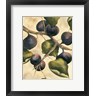 Doris Allison - Italian Harvest - Figs (R1039806-AEAEAGOFDM)