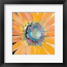 Leslie Bernsen - Sunshine Flower IV (R1040406-AEAEAGOEDM)