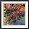 Philip Craig - Steps and Summer Flowers (R1040750-AEAEAGOFDM)