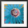 Leslie Bernsen - Sunshine Flower II (R1041490-AEAEAGOFDM)