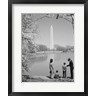 Vintage Images - Family At Washington Monument Amid Cherry Blossoms (R1041564-AEAEAGOFDM)