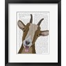 Fab Funky - Funny Farm Goat 3 Book Print (R1044390-AEAEAGOFDM)