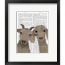 Fab Funky - Goat Duo, Looking at You Book Print (R1044418-AEAEAGOFDM)