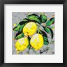 Jodi Augustine - Fruit Sketch Lemons (R1045958-AEAEAGOEDM)