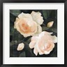 Emma Caroline - Soft Garden Roses I (R1046868-AEAEAGOFDM)