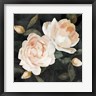 Emma Caroline - Soft Garden Roses II (R1046869-AEAEAGOFDM)