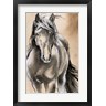 Jennifer Parker - Sketched Horse II (R1051204-AEAEAGOFDM)