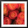 Dan Meneely - Peach Roses (R1052876-AEAEAGOFDM)