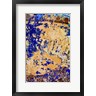 Emily Wilson / DanitaDelimont - Peeling, Weathered Paint Blue and orange (R1053736-AEAEAGOFDM)