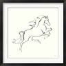 Chris Paschke - Line Horse VI (R1053836-AEAEAGOFDM)
