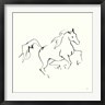 Chris Paschke - Line Horse V (R1053837-AEAEAGOFDM)