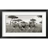Pangea Images - Brothers, Masai Mara, Kenya (detail) (R1054769-AEAEAGOFDM)